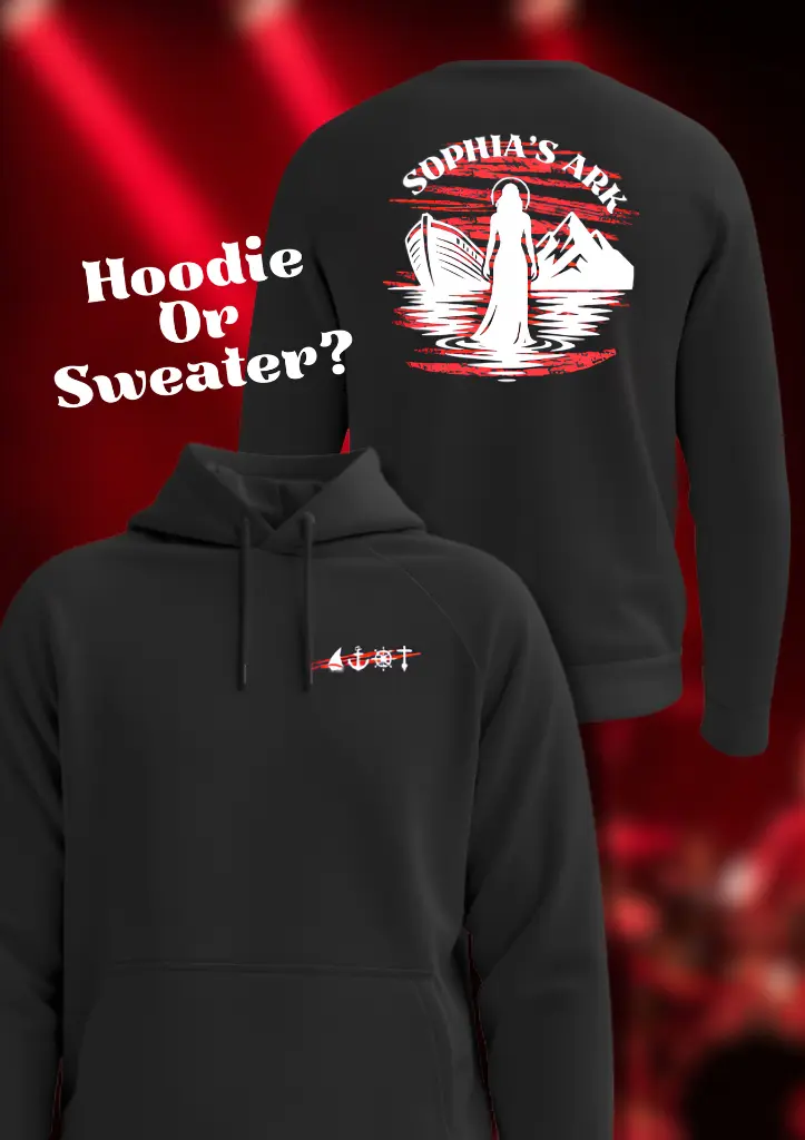 hoodie_or_sweater.webp